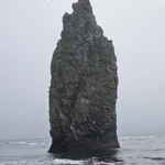 Фото к отзыву Елена Хвостова