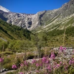 Фото к отзыву Диляра Аурова