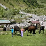 Фото к отзыву Диляра Аурова