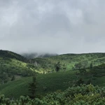 Фото к отзыву Валентина Мякишева