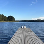 Фото к отзыву Александра Ревак