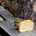Фото к отзыву Юлия Богомолова