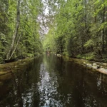 Фото к отзыву Светлана Долгова