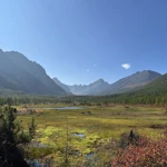 Фото к отзыву Алиса Подина