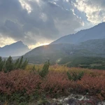 Фото к отзыву Алиса Подина