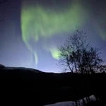 Фото к отзыву Герман Лепёхин
