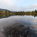 Фото к отзыву Герман Лепёхин
