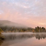 Фото к отзыву Дарина Гуторова