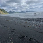 Фото к отзыву Полина Суркова
