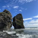 Фото к отзыву Полина Суркова
