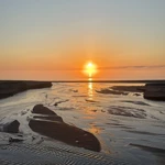 Фото к отзыву Полина Суркова