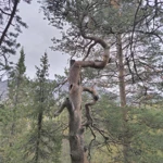 Фото к отзыву Маргарита  Герцен