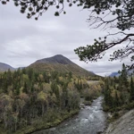 Фото к отзыву Маргарита  Герцен