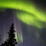 Фото к отзыву Александра Арсентьева