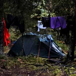 Фото к отзыву Александра Арсентьева