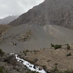 Фото к отзыву Антошка Гладкий