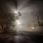 Фото к отзыву Юлия  Козырева
