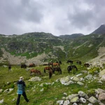 Фото к отзыву Максим Куранов