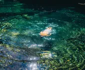 ледяная вода купание