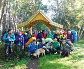 Пиначевский кордон