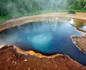 грифон Иванова