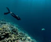 ныряние в море