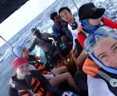 наблюдение за китами