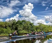 Джунгли Боливия