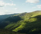 Предгорья алтайских гор