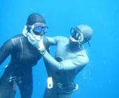 партнёрство во фридайвинге