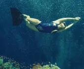 рифы дахаба