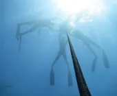 трос для фридайвинга