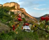 Палаточный лагерь Крым