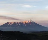 закатный толбачик