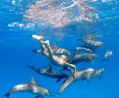 дети и дельфины