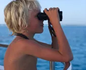 ищем дельфинов