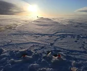Охота на корюшку: Зимняя рыбалка в Ленобласти - подписаться на оповещения
