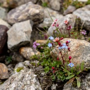 Семейный астрономический палаточный лагерь "Дети Эльбруса" (10+) поход, изображение 1