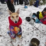 Зимний поход с ночевкой в доме на берегу Финского залива поход, изображение 3