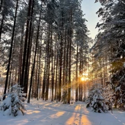 Зимний поход с ночевкой в доме на берегу Финского залива поход, изображение 1