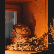 Широка Масленица - семейная вечёрка: старинные обычаи, новые встречи, баня и традиционные игры (0+) поход, изображение 1