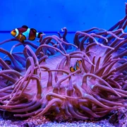 Фото Марины Скотниковой