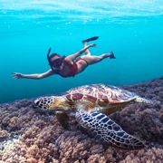 Ринжани. Восхождение на самый красивый вулкан Индонезии и снорклинг с черепахами на островах Гили поход, изображение 3