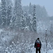 На снегоступах к Морозовским оврагам. Однодневный поход из Москвы поход, изображение 2