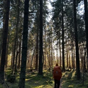 Поход по побережью Финского залива: заброшенные форты и маяки поход, изображение 3