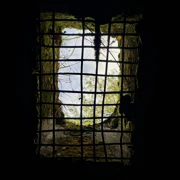 Тропа Южного берега: выходные с палаткой на Балтике поход, изображение 1