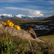 Фото Сергея Романенкова