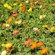 Китай. Cокровища Юньнани поход, изображение 4