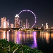 Сингапур: город, где будущее уже наступило поход, изображение 3