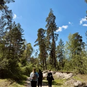 Урочище Троица-Чижи. Однодневный поход в Подмосковье поход, изображение 4